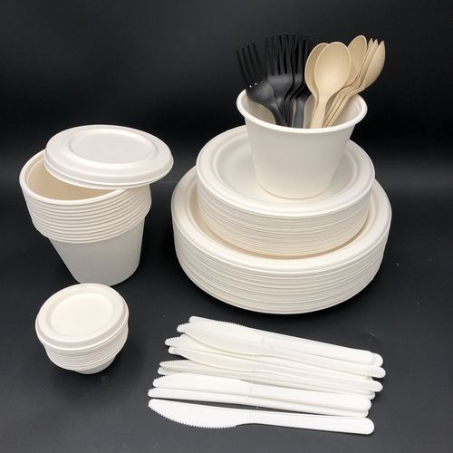 CPLA disposable cutlery.jpeg