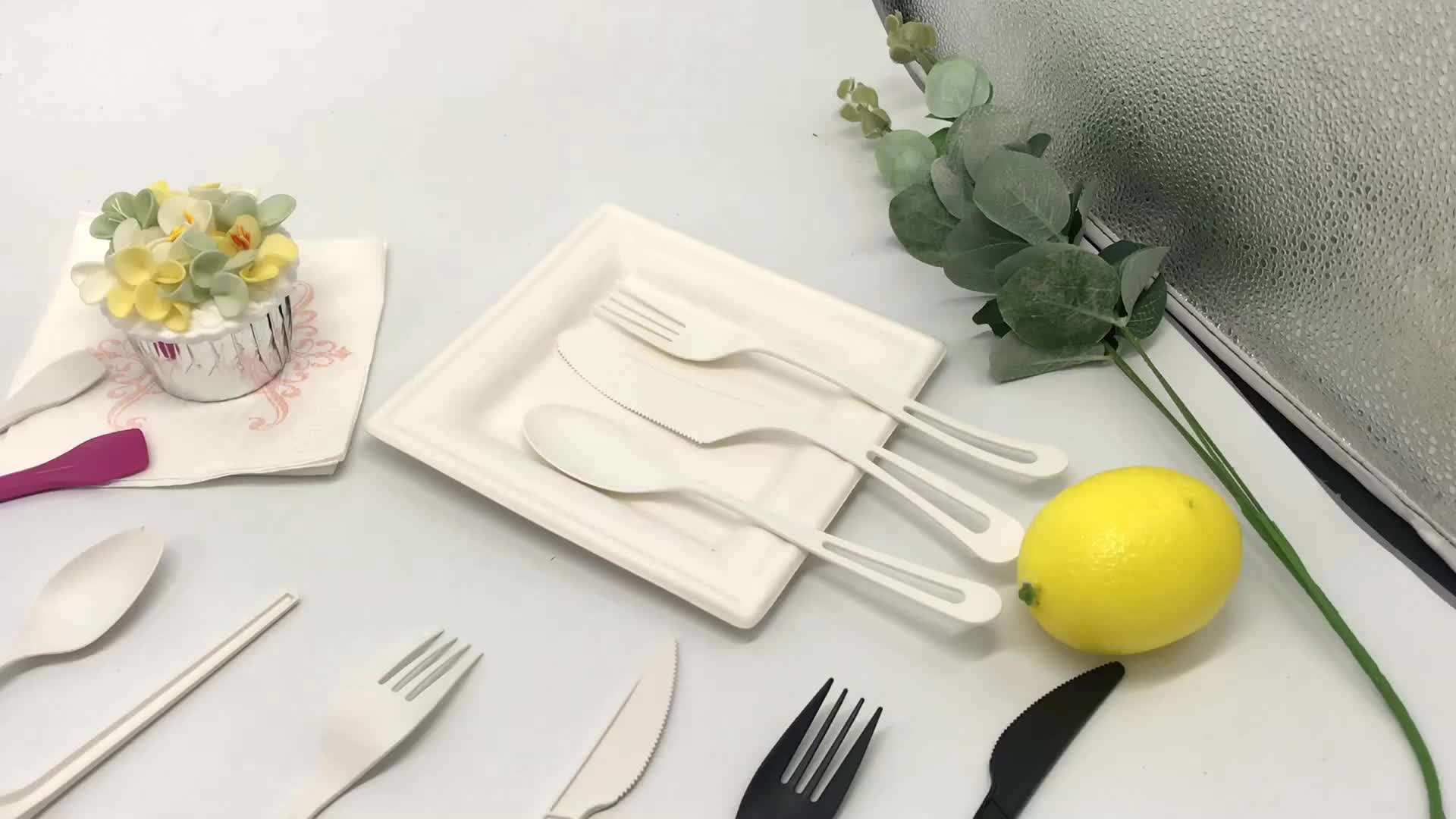 CPLA Cutlery (2).jpeg