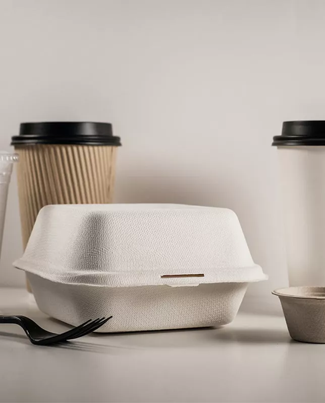 Biodegradable Tableware