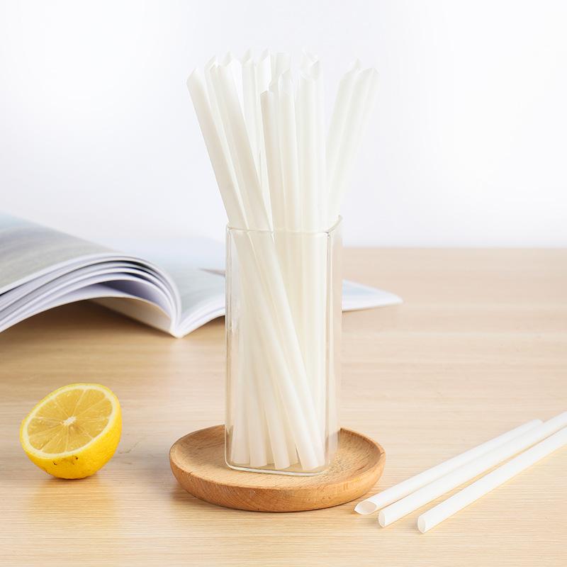 PLA Straws (4).jpeg