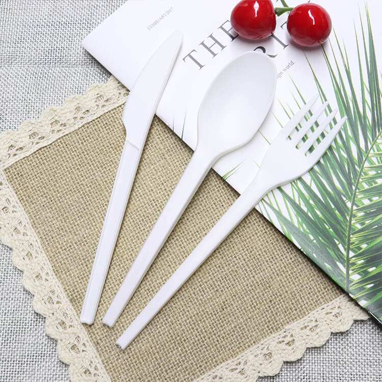 Sugarcane Tableware.jpeg